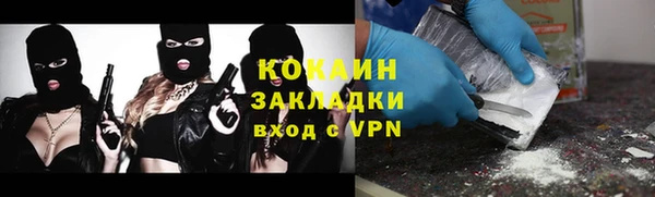 соль ск Нея