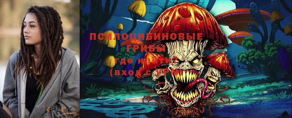спайс Новозыбков
