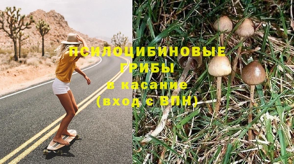 амфетамин Новокубанск